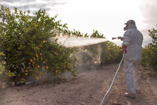 Insect Control in Princeton, IL
