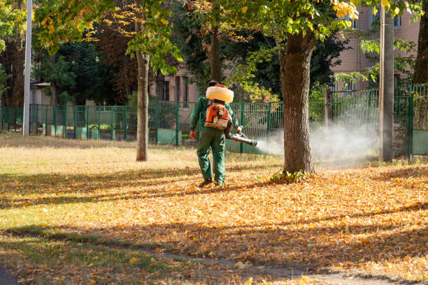 Reliable Princeton, IL Pest Control Solutions