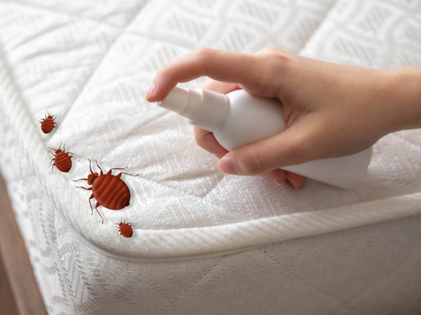 Best Flea Control Services  in Princeton, IL
