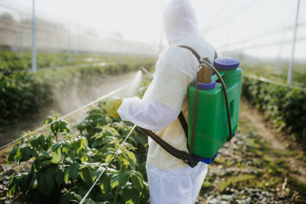 Best Pest Control Treatment  in Princeton, IL